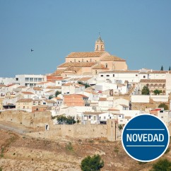 Curso-sobre-la-Ley-7-2021-de-Impulso-para-la-Sostenibilidad-del-Territorio-de-Andalucía_Novedad